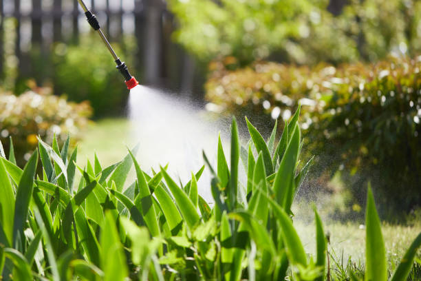 24/7 Emergency Fumigation Services experts in Winona Lake, IN